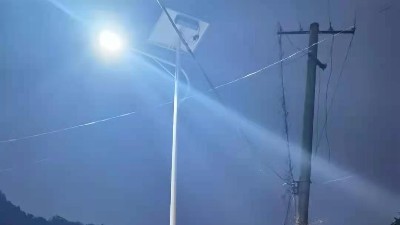 廣西河池王總223套太陽(yáng)能路燈已投入圭里村